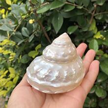 ���l��Ȼ����ؐ���ɹ��������ݰ�ɫ���˱����ղ؃�ͯ�Y���Ĕz�[��