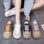 增高运动秋季新款女鞋