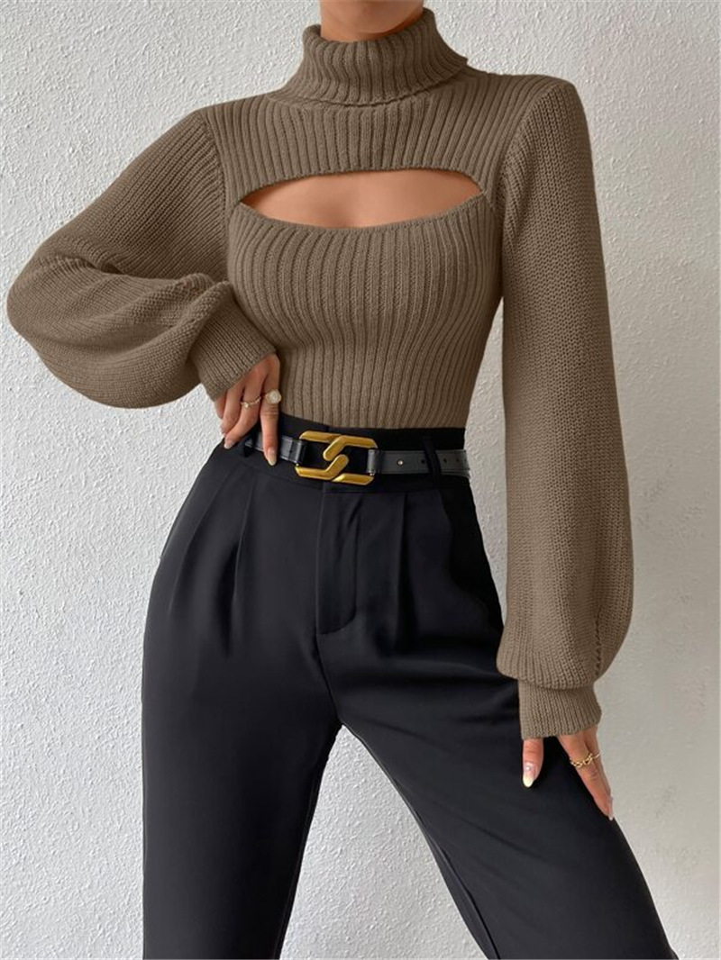 Women's Sweater Long Sleeve Sweaters & Cardigans Elegant Streetwear Solid Color display picture 5