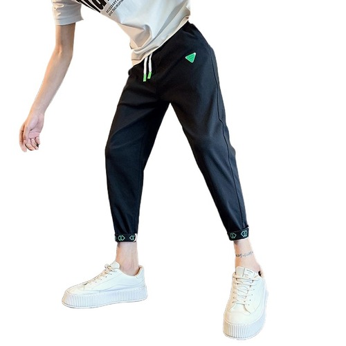 Men's Spring and Autumn Trend Brand Casual Hipster Streetwear Slim Fit Nine-Piece Bottoms 2024 New Leisure Harlon Pants