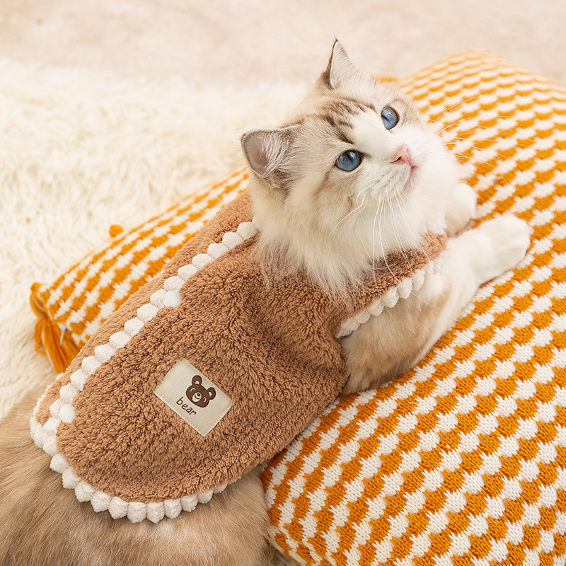Gato otoño invierno gato sin pelo estilo coreano oso pegatinas chaleco de peluche perros dos piernas ropa de peluche mascota gato
