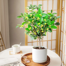 �𻨘����Ԏ�������ļ�����辰�҃��_������̨����B���ܾGֲ