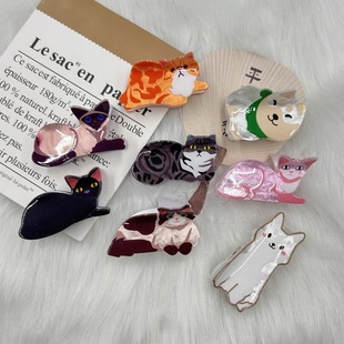 СҰ؈�l�AŮ�ɐۄ���ץ�A2025�¿���X�׊A���bl���^����~�A