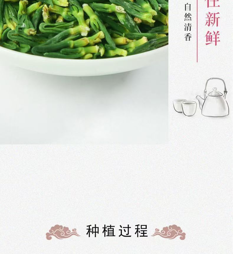 Lotus Plumule Tea Lian Zi Xin 500g Dried Nelumbo nucifera Plumule Herbal Tea in use