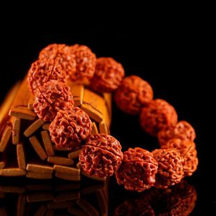 �����Ჴ�������������ԭ�Ѵ������Ȧ�����������ֳַ�����Ů��