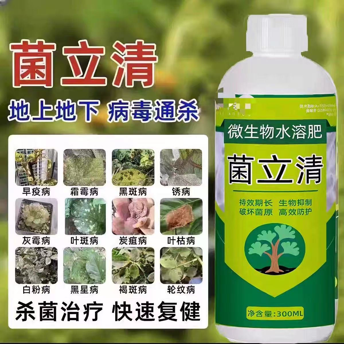 菌立清微生物菌植物通用蔬菜叶面肥农用细真菌营养液果树花肥