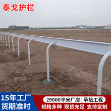 PVC马场护栏赛马场护栏 民族马术马场训练围栏竞技跑道赛道隔离栏
