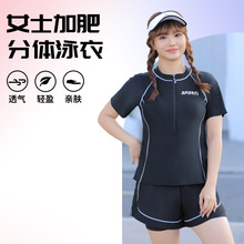 2025新款爆款大码泳衣女士保守分体泡温泉微胖女孩遮肉显瘦高级感