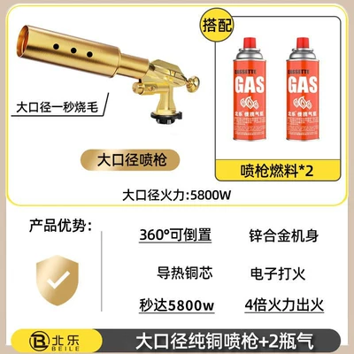 Alovlandırıcı (Vozduşka/İqniter): household handheld flame gun, cartridge gas - upgraded-copper-model-with-large-diameter-hair-removal-in-one-secondexport-valvereversible-2-gas-canisters