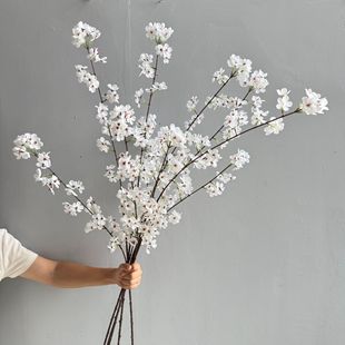 2���滨 �U���b��滨 �L֦�ѻ� ��Y�ò��÷�����ؼ��һ���֦