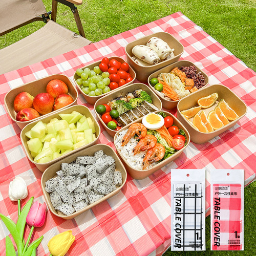 Wholesale disposable tablecloth for picnic outdoor picnic plaid picnic cloth camping rectangular waterproof and oil-proof background cloth