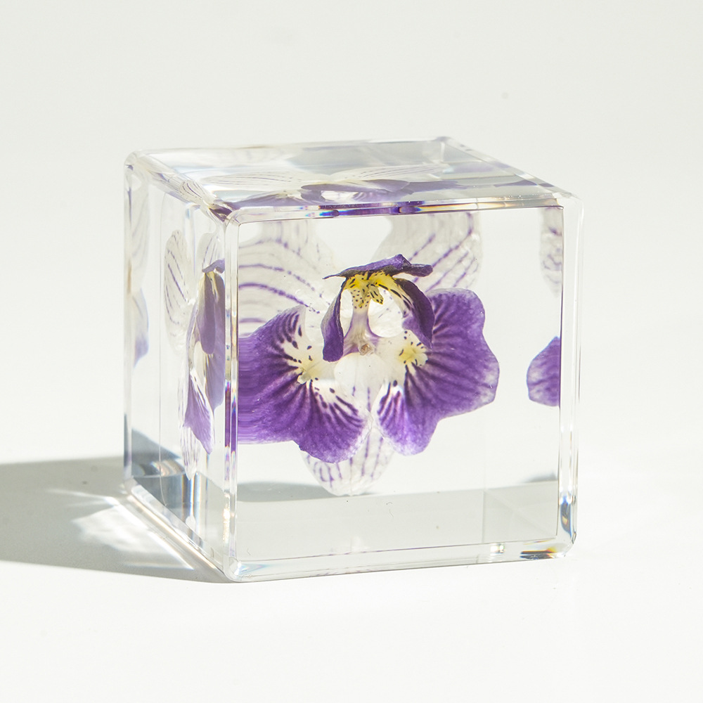[Airplane Box] Cube Sansheng III Orchid Ornament