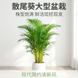 ɢβ���Gֲ���Ի��ܰlؔ������ ���X������ ���_ľ�������~������