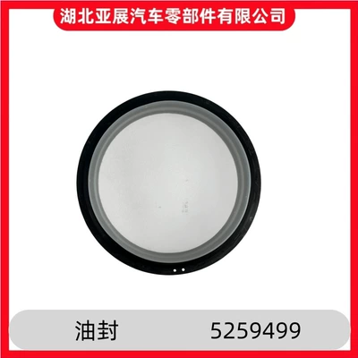 Cummins Qsb6.7 dirsəkli val arxa yağ keçəsi 5259499 üçün uyğundur