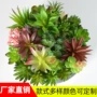 迷你盆栽仿真定制摆件