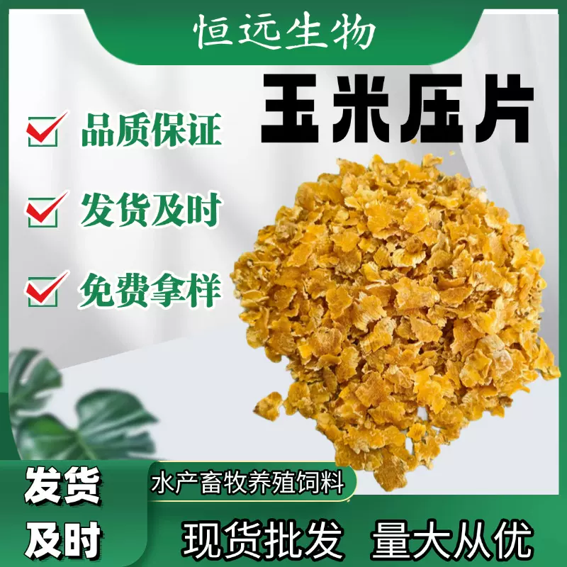 玉米压片猪牛羊禽畜饲料添加蒸汽熟化好消化 玉米压片