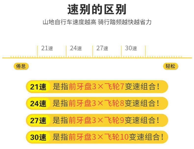 1f4de9f2-ee5b-447a-a091-cfaf05c1b66d.jpe