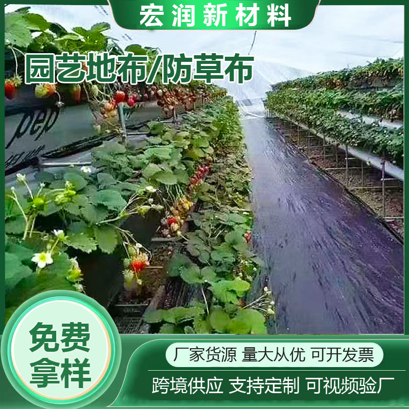 塑料渗水园艺除草地布 防杂草果园大棚盖草布黑色养殖鱼塘地布