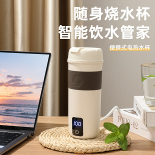 Electric Heating Water Cup Portable Travel Kettle Small Mini Electric Kettle Dormitory Student Home Heating Water Cup