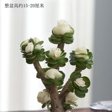 XľֲؔϘ҃ȿ͏dkļBGֲ