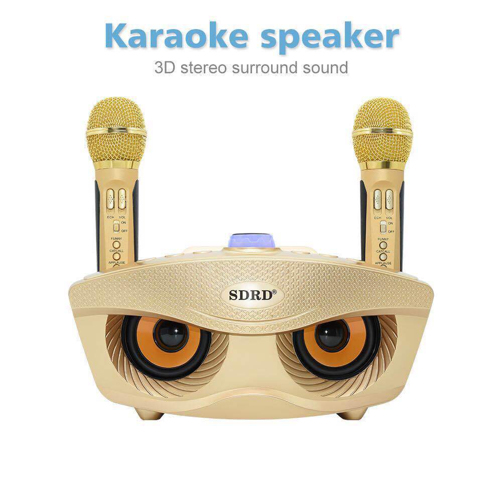 SD306 microphone family KTV portable sound card wireless live broadcast wireless microphone Bluetooth audio integrated