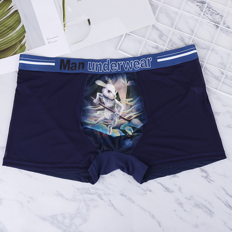 Twelve Zodiac Signs Ice Silk Underwear Men's Semi-Transparent Quick-Drying Personalized Boxer Shorts Breathable Mesh Thin Boxer Briefs