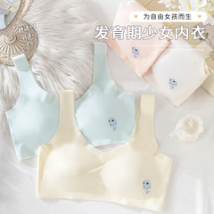 New development girls middle and high school bandeau ice silk seamless student one-piece sports vest showing small bra