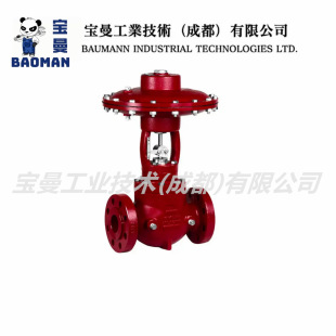 ȫ��Kimray�Pķ�� EFI ϵ�л\ʽ����߉���ӿ����y 2'' ��Һ���|