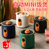 Factory wholesale Chang-Hong2 intelligence Rice cooker Mini Reservation multi-function household gift Rice cooker