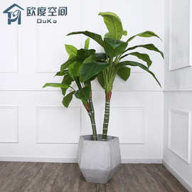 室内装饰绿植落地盆景大型花卉植物盆栽仿真假花家居万年青北欧风