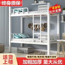 ������p���F���p�ˌ��҆T�������F�ܴ��W����Ԣ���´��ߵ��Fˇ��