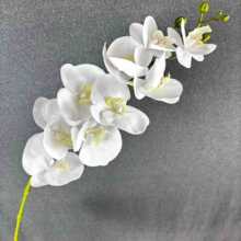 ��c3D��ӡ�z�����^�������m�����֧�廨�Ҿ����Q�zӰ���ߑ���