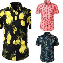 ���՚W���羳���aӡ�����b�����՗l�y������ʿ�r���r���F؛����