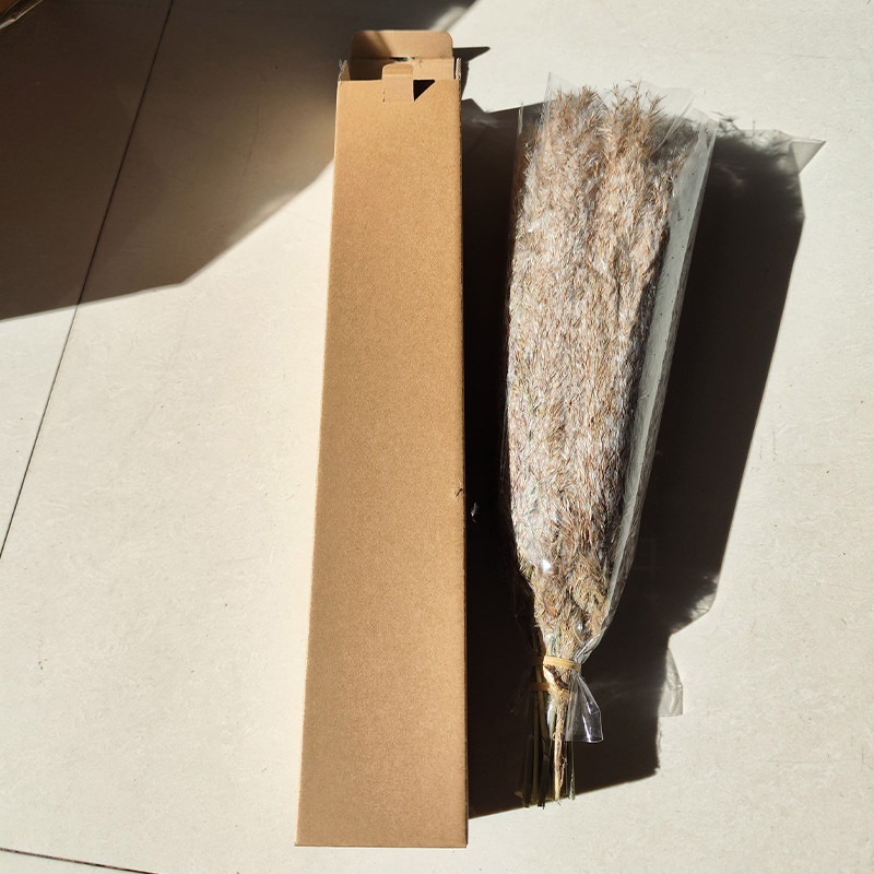 원래 색상 갈대 나무 20 꽃다발 상자