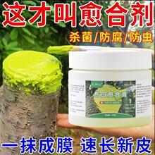 �Ҙ�T�a��ֲ��������τ������Ƥ�TĤ����޽��п��ޏ͉TĨ��