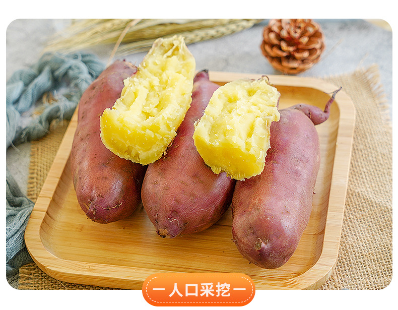 詳情圖片_6.jpg