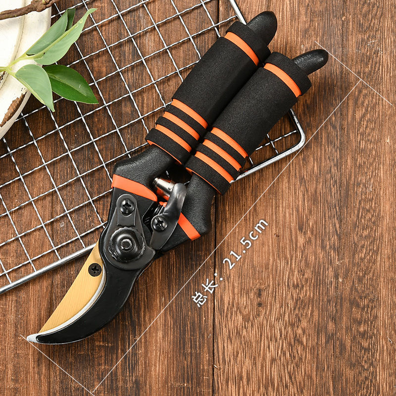 72c73c0491dbcbc52b107d0304a328