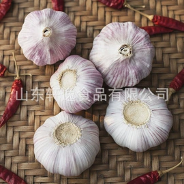 蒜;脱水蔬菜;其他调味品