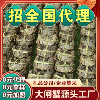 鲜活大闸蟹诚邀加盟代理大闸蟹鲜活螃蟹团购苏州精挑代发河蟹水产