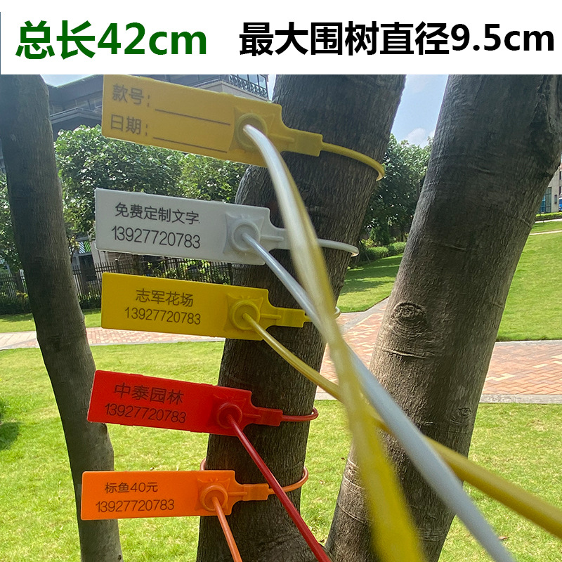 一次性塑料封条物流标牌集装箱铅封园林苗木标识扎带跨境专供