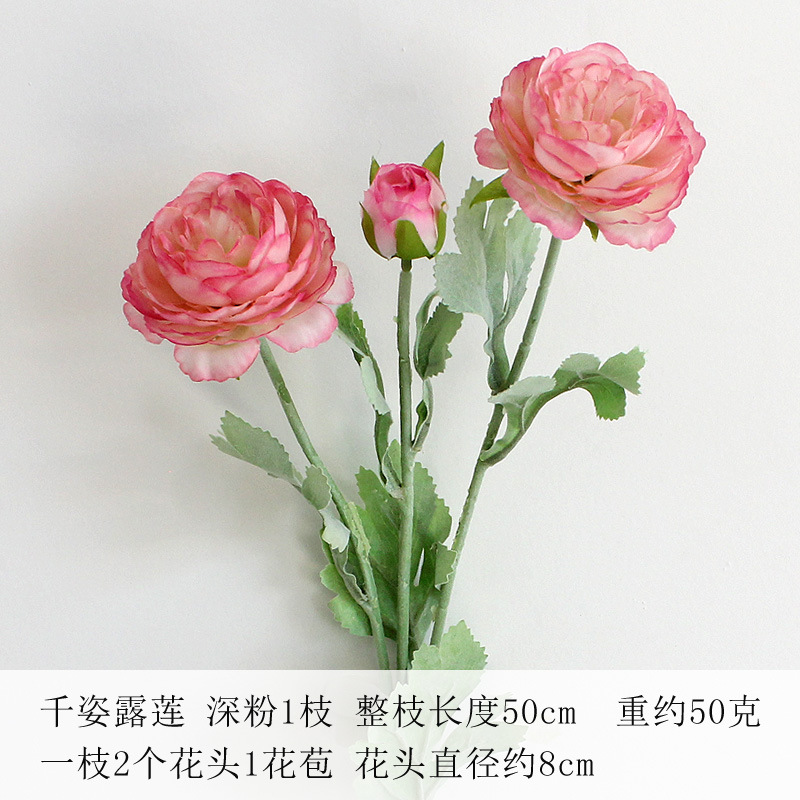 다크 핑크