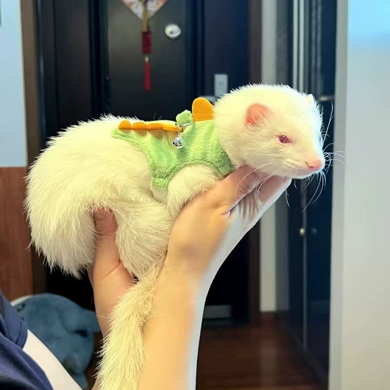 Поводок для домашних животных, хорька, динозавра, милый мультяшный динозавр, шлейка, цепочка для прогулок, веревка для хорька, белки