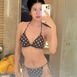 源头工厂ins网红性感泳衣女比基尼海边度假复古波点小胸度假泳装