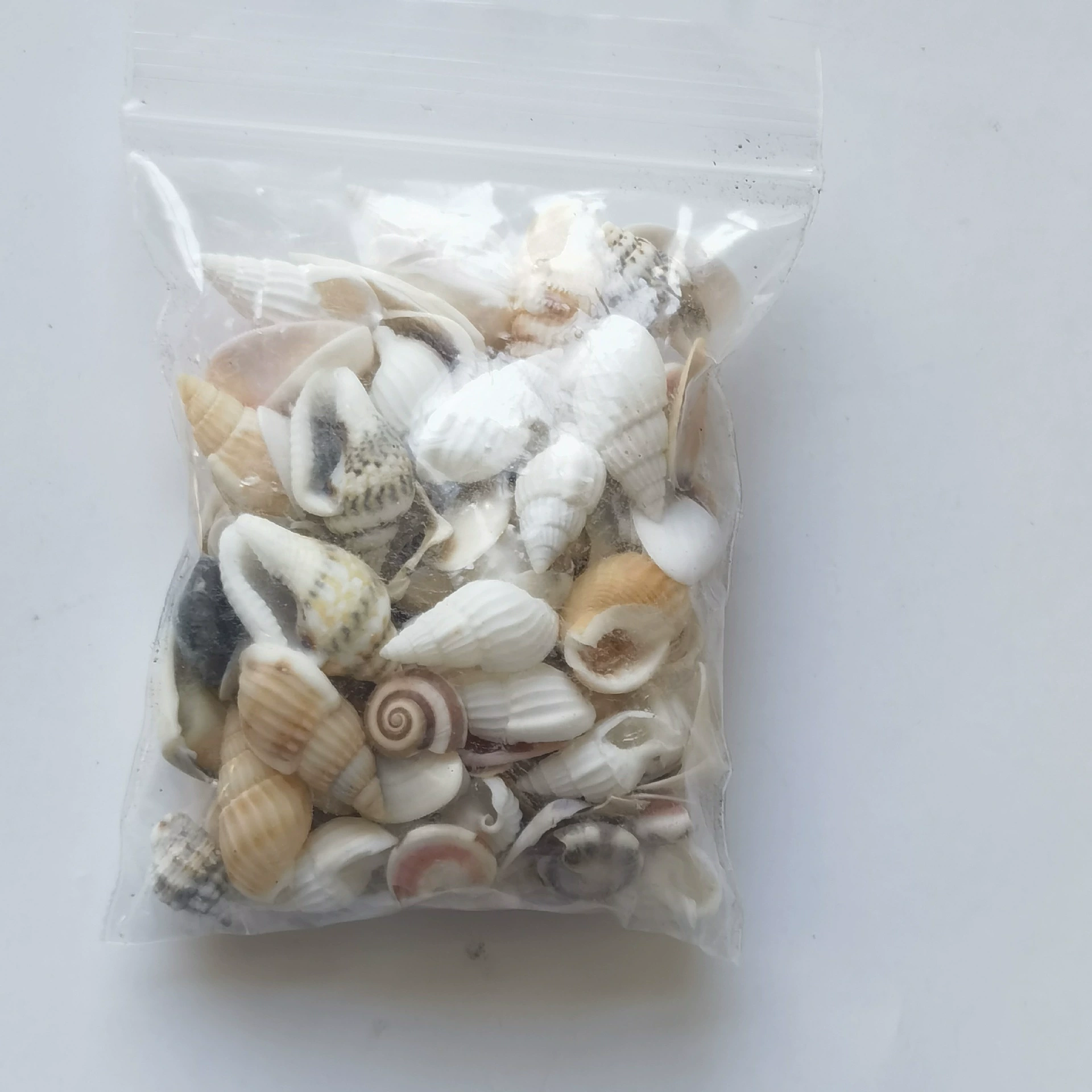 [Мини раковина] миниатюрный пейзаж Пляж сцена DIY коттедж Готовые Аксессуары пляж Приморская модель