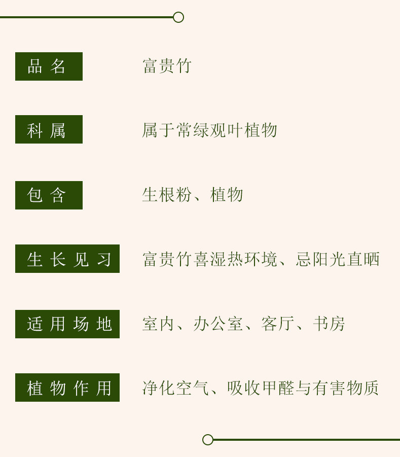 37b532f0-a2d5-4c68-8a1f-cb0925254c82.jpe