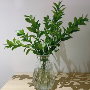 ���~�r�л��������ֱ�l��ͥ�k����ˮ�B���~�����L��������֦�l