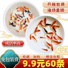 ��ˮС���~�^�p�~���N�\���~С�^�p�~�ͻ���ˮ�~��t���~