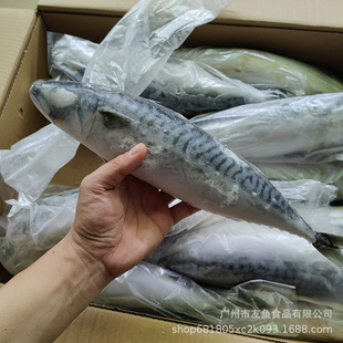 ԭ�l�T�~Ų���໨�~��Ҏ����ռ�~����~600�����þƵ����10KG/��