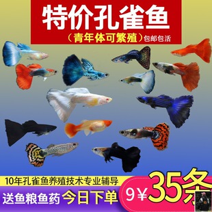 ��ȸ�~С�~�Ꭷ�~ȫ�N�������B�^�p�~С�͵�ˮ���R�~����~