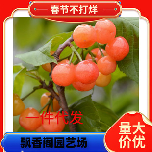 ������� �R������� ����Ҙ��� �޽ә����� ܇���Ә����ϱ����N